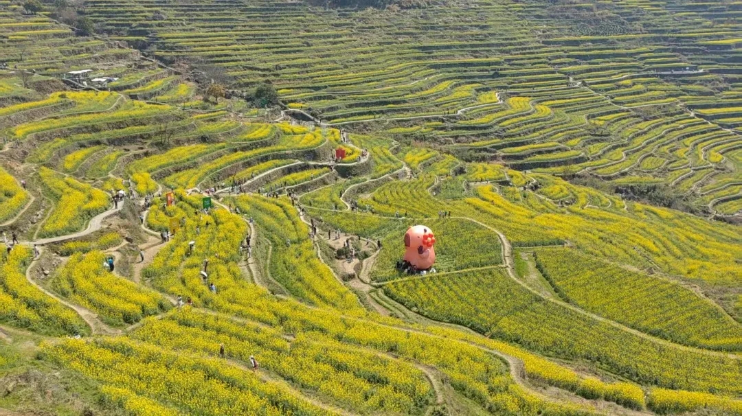 绍兴城东医院,员工活动