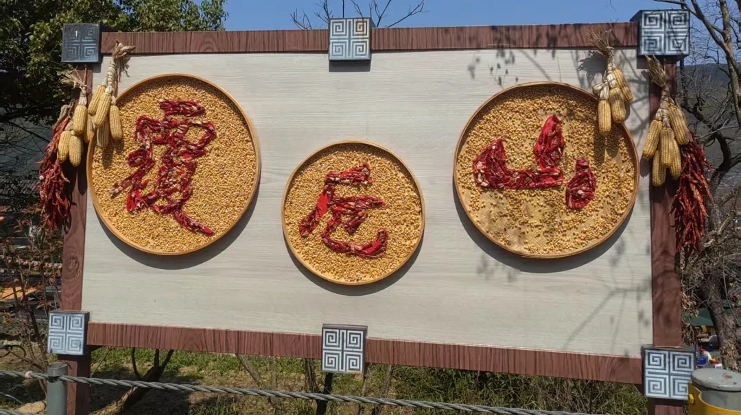 绍兴城东医院,员工活动